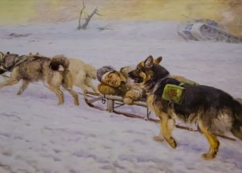 Музей Собаки