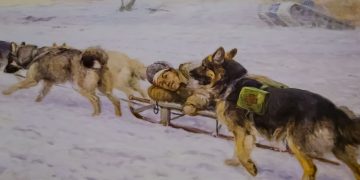 Музей Собаки