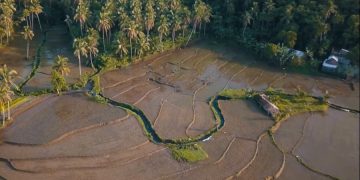 Все чаще туристы останавливаются в эко-отелях