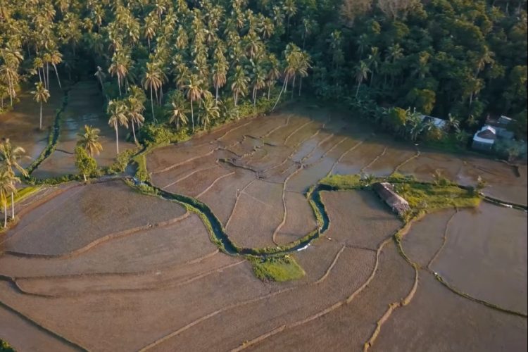 Все чаще туристы останавливаются в эко-отелях