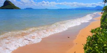 Знаменитый пляж Вайкики на Гавайях может уйти под воду