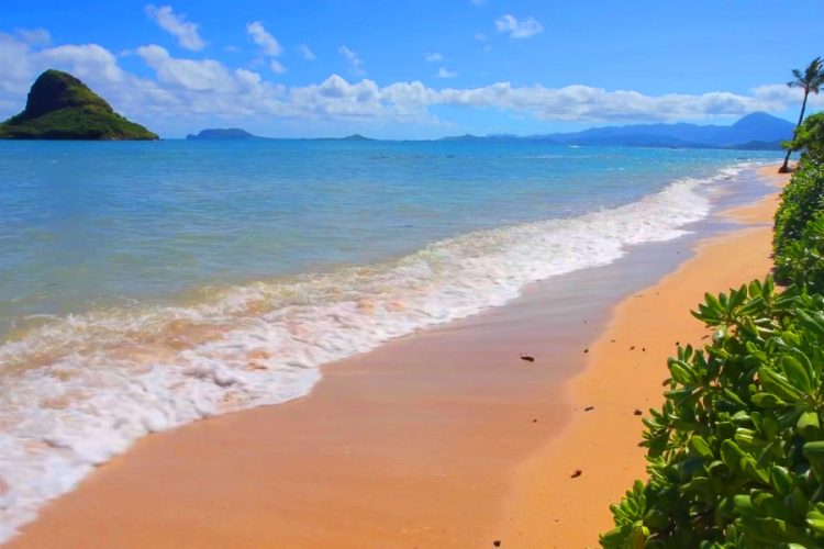 Знаменитый пляж Вайкики на Гавайях может уйти под воду