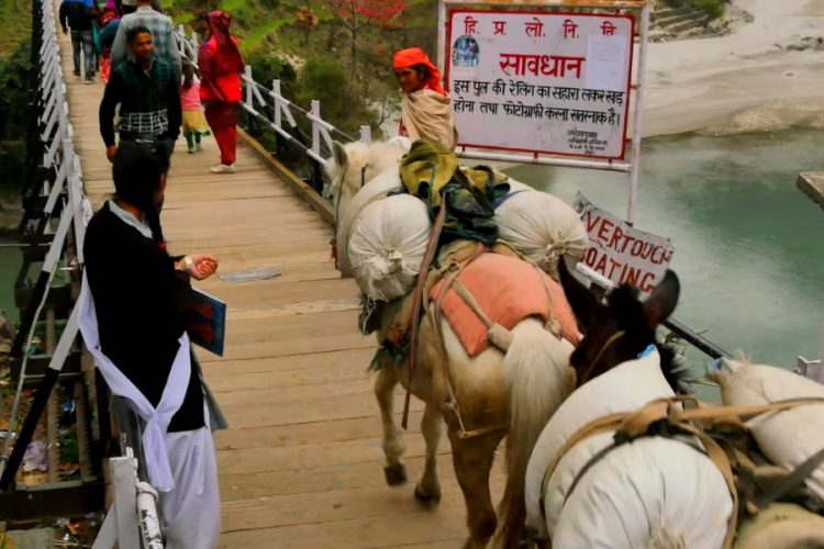 Группа поддержки представителей ЛГБТК организует фестиваль в Индии