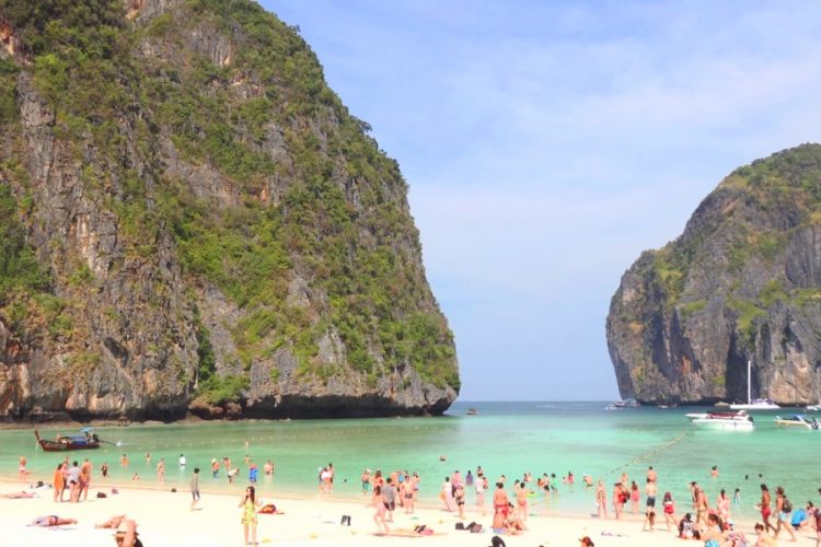 В бухте Майя части кораллового рифа приклеивают на суперклей