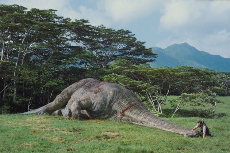 В аэропорту Хитроу установили скелет диплодока