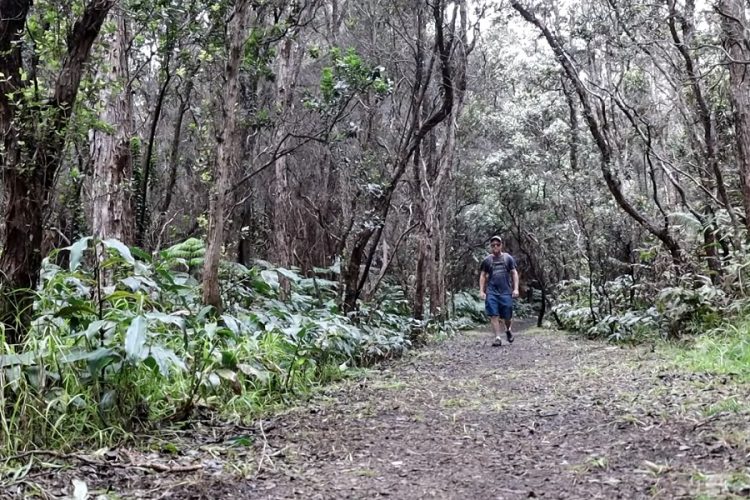 новость 02-05-2019 Пешеходная тропа Килауэа-Ики открылась для общественности