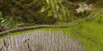 новость 03-05-2019 Филиппинские острова в ТОПе лучших направлений агротуризма