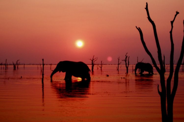 новость 15-05-2019 Сектор туризма Зимбабве остро нуждается в улучшении сообщения