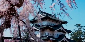 новость 23-05-2019 Туризм Японии стимулируют ценители сакуры и ее цветения