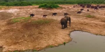 новость 28-05-2019 Уганда планирует развивать тёмный туризм