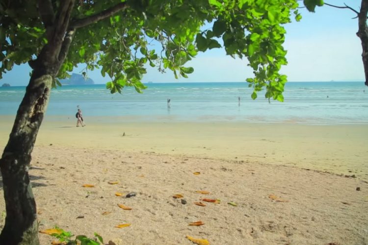 новость 27-05-2019 Пляж Краби в Таиланде покрыли черные сточные воды