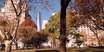 Редкую копию карты Южной Каролины и Джорджии представят в Нью-Йорке