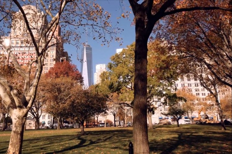 Редкую копию карты Южной Каролины и Джорджии представят в Нью-Йорке