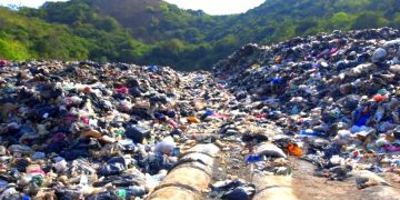 Убрать весь мусор на острове Ко Лан в Таиланде смогут минимум за 5 лет