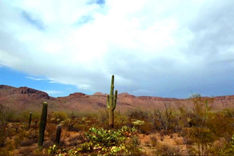 Реконструкцию Солнечных Туннелей проведут в пустыне Большого Бассейна
