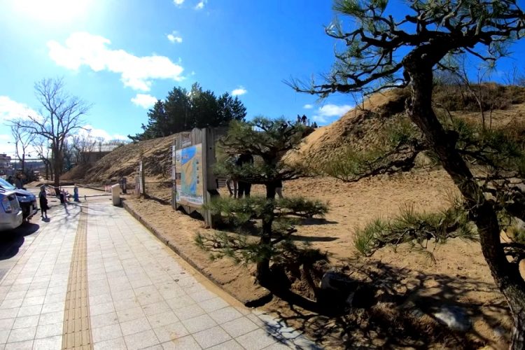 Древние песчаные дюны в Японии страдают от туристических "следов"