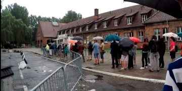 За убийство овцы в лагере смерти Освенцим посетители получили наказание