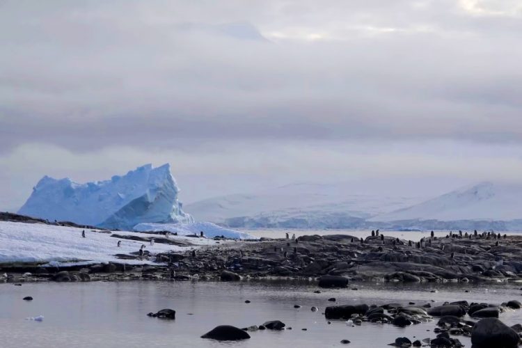 Компания SeaDream предлагает путешествие на край света