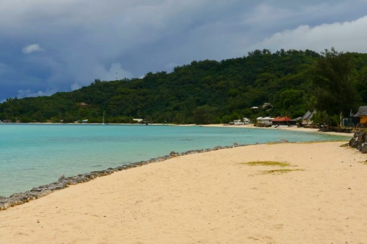 Time Hotels анонсировали новую программу лояльности