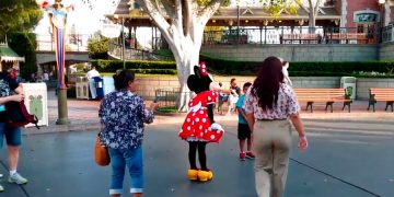 Туристка подает в суд на парк Walt Disney из-за столкновения с птицей