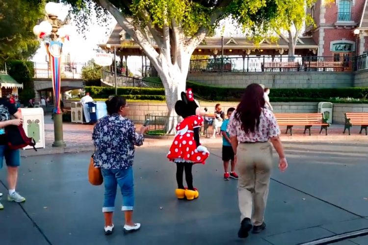 Туристка подает в суд на парк Walt Disney из-за столкновения с птицей