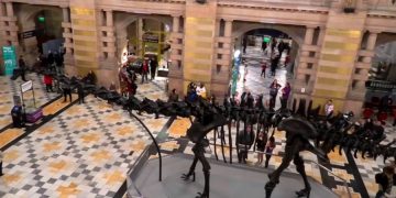 Скелет динозавра Диппи покидает Глазго