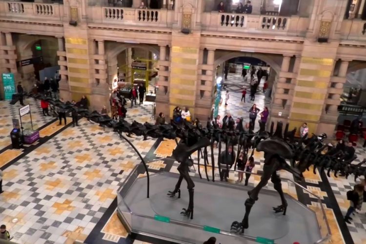 Скелет динозавра Диппи покидает Глазго