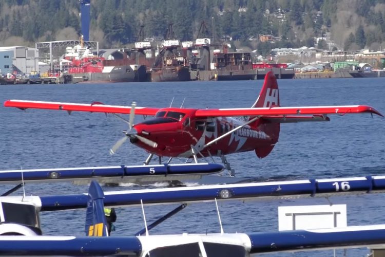 На полуострове Аляска нашли последнего погибшего в авиакатастрофе