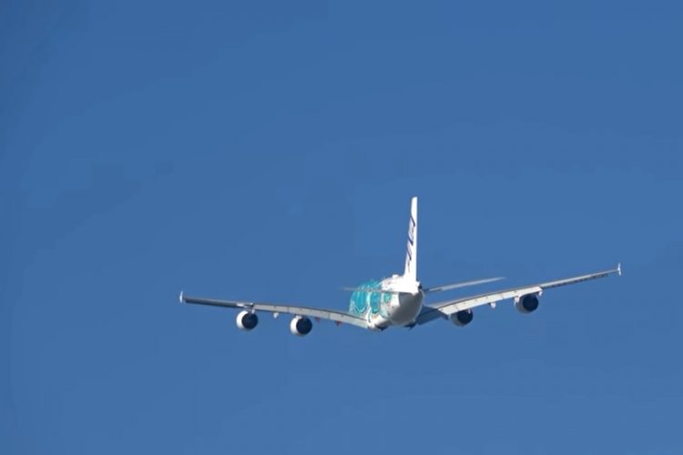 Чтобы не уничтожать окружающую среду, нужно прекратить летать?