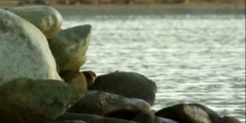 Great Angus Beach (Шотландия) очищают от мусора волонтеры