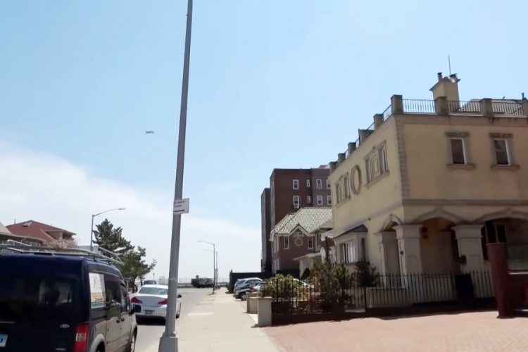 В постоянную коллекцию музея Бруклина включили новые экспонаты