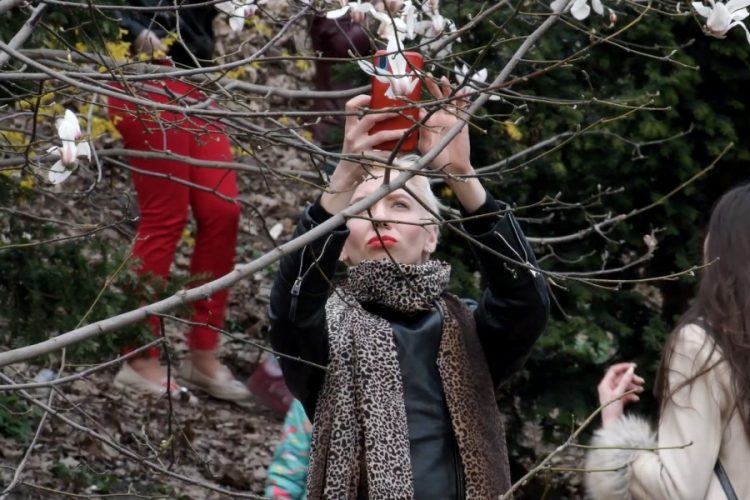 Visit Britain подчеркивает важность британских садов для туризма