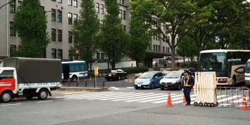 Парковка в аэропорту Манчестера может уничтожить древний лес