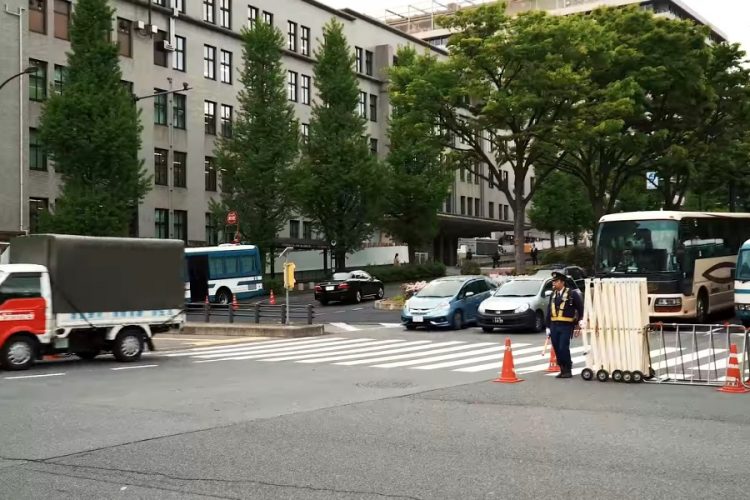 Парковка в аэропорту Манчестера может уничтожить древний лес