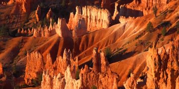 Турист случайно нашел 2 старинные монеты в штате Юта