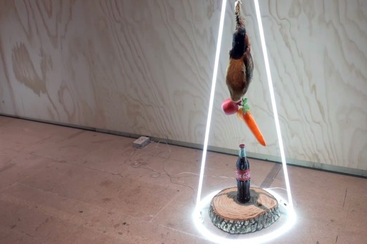 Британский Совет представил работы на Венецианской Биеннале