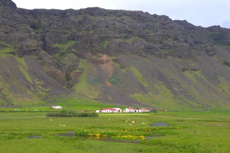 Исландские туристы готовы заботиться об окружающей среде