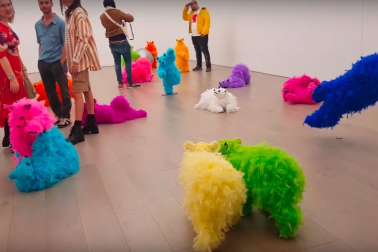 Персональная выставка в Нью-Йорке демонстрирует "пернатых" медведей