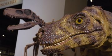 На строительной площадке в Колорадо обнаружили останки динозавра