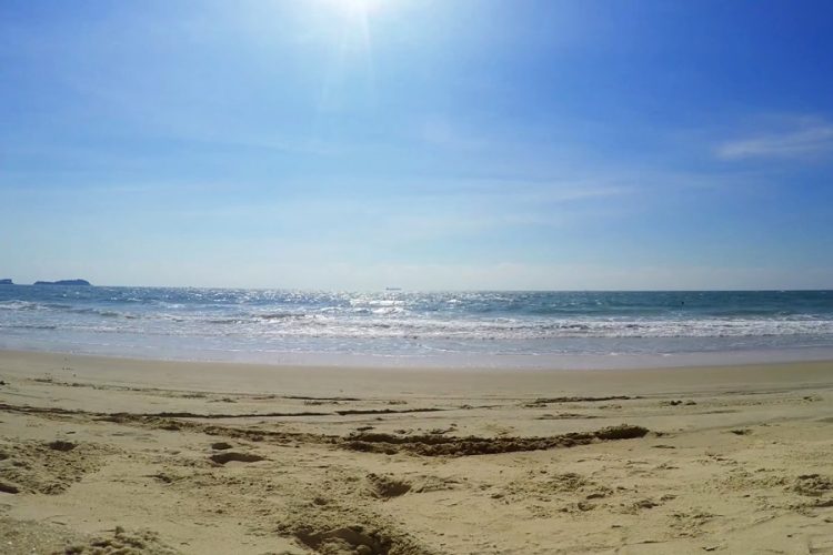 Российская туристка жалуется на бездействие полиции Гоа