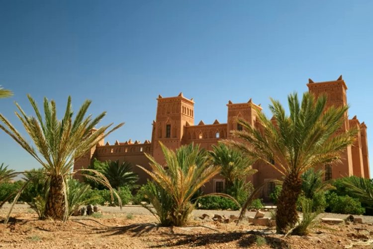 Booking.com наградил туристические стартапы