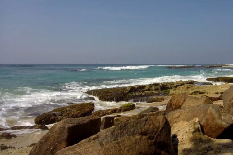 Shangri-La Hotel пропагандируют здоровый образ жизни