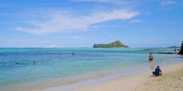 Мужчина, которого убила акула на Гавайях, был опытным дайвером