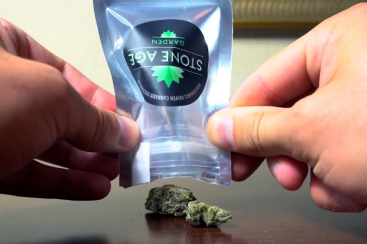 Администрация транспортной безопасности США изменила политику в отношении каннабиса