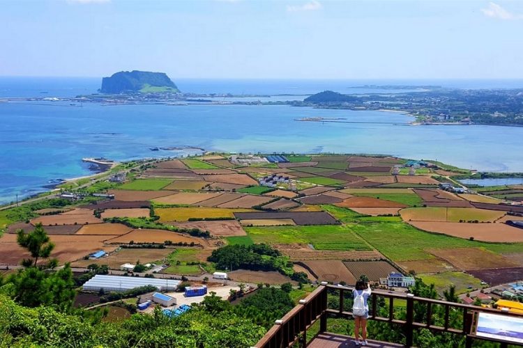 новость 07-06-2019 Корейская война привлечет туристов в Южную Корею