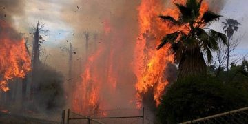 новость 11-06-2019 Развлекательные парки Южной Калифорнии экстренно эвакуировали