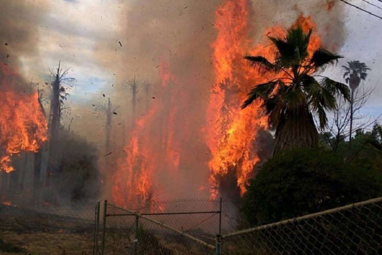 новость 11-06-2019 Развлекательные парки Южной Калифорнии экстренно эвакуировали