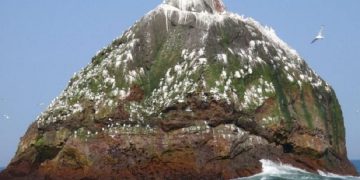 новость 29-06-2019 Kraken Travel предлагает поездки на необитаемый остров за $2000