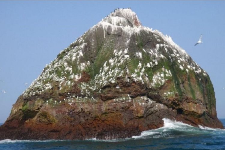 новость 29-06-2019 Kraken Travel предлагает поездки на необитаемый остров за $2000