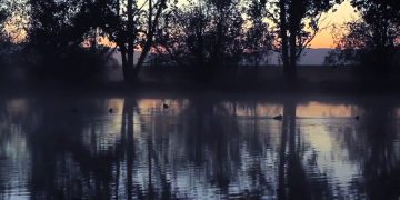 новость 02-06-2019 Туристический сбор для иностранных туристов ввела Новая Зеландия